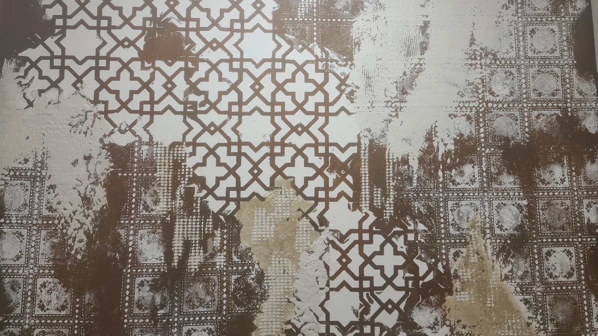 portfolio-detail-img